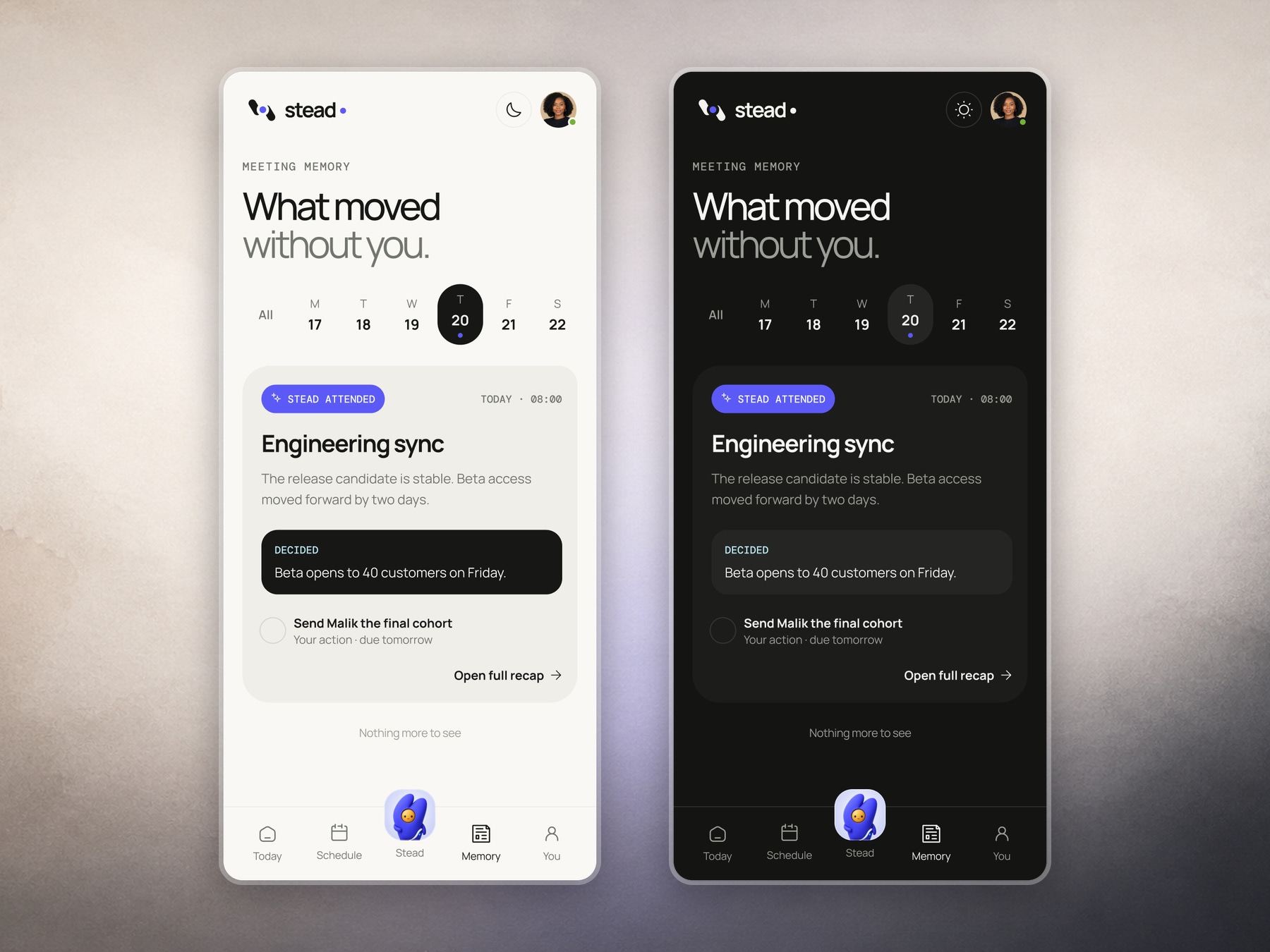 Stead meeting memory in light and dark mode