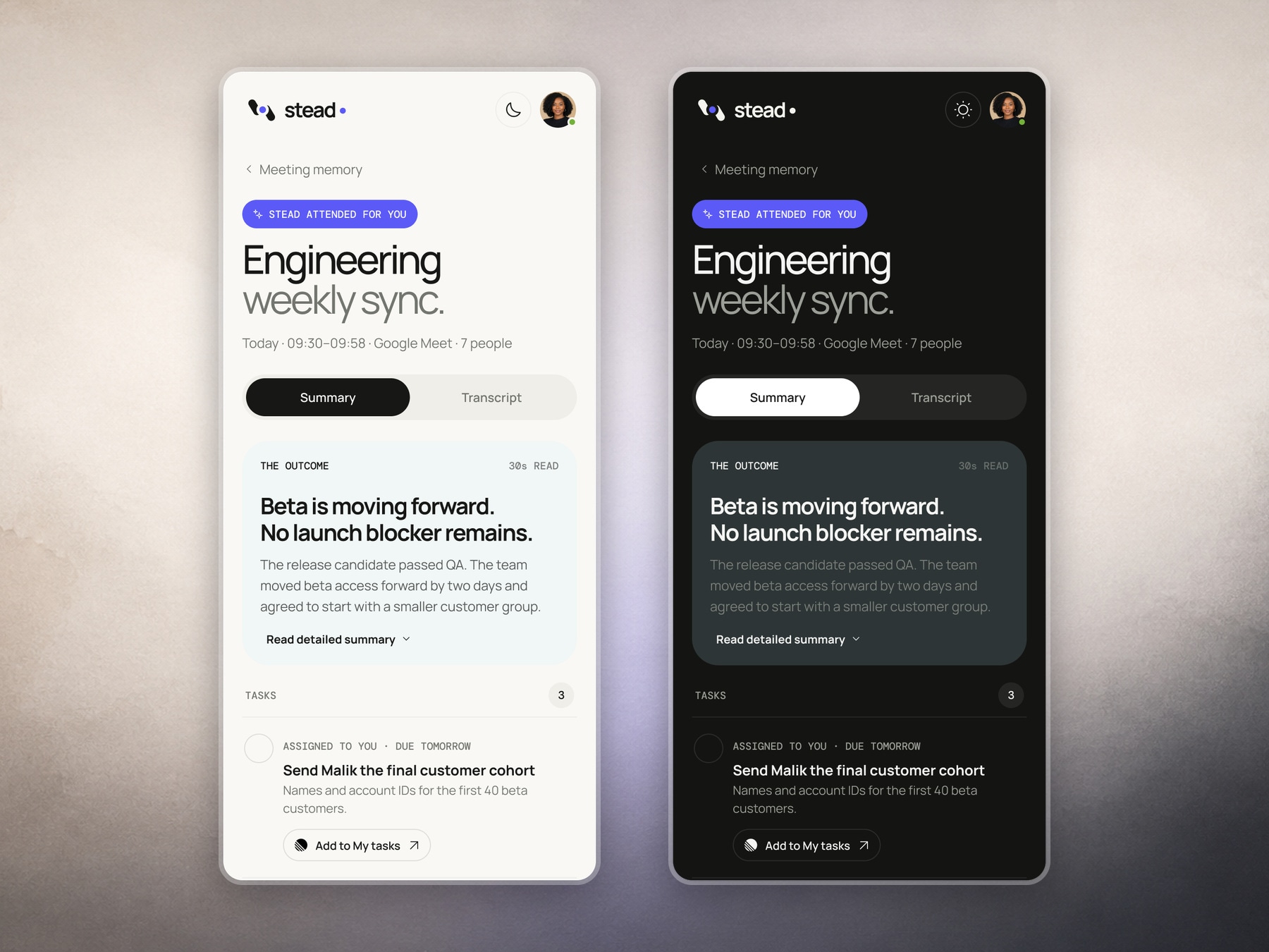 Stead meeting recap in light and dark mode