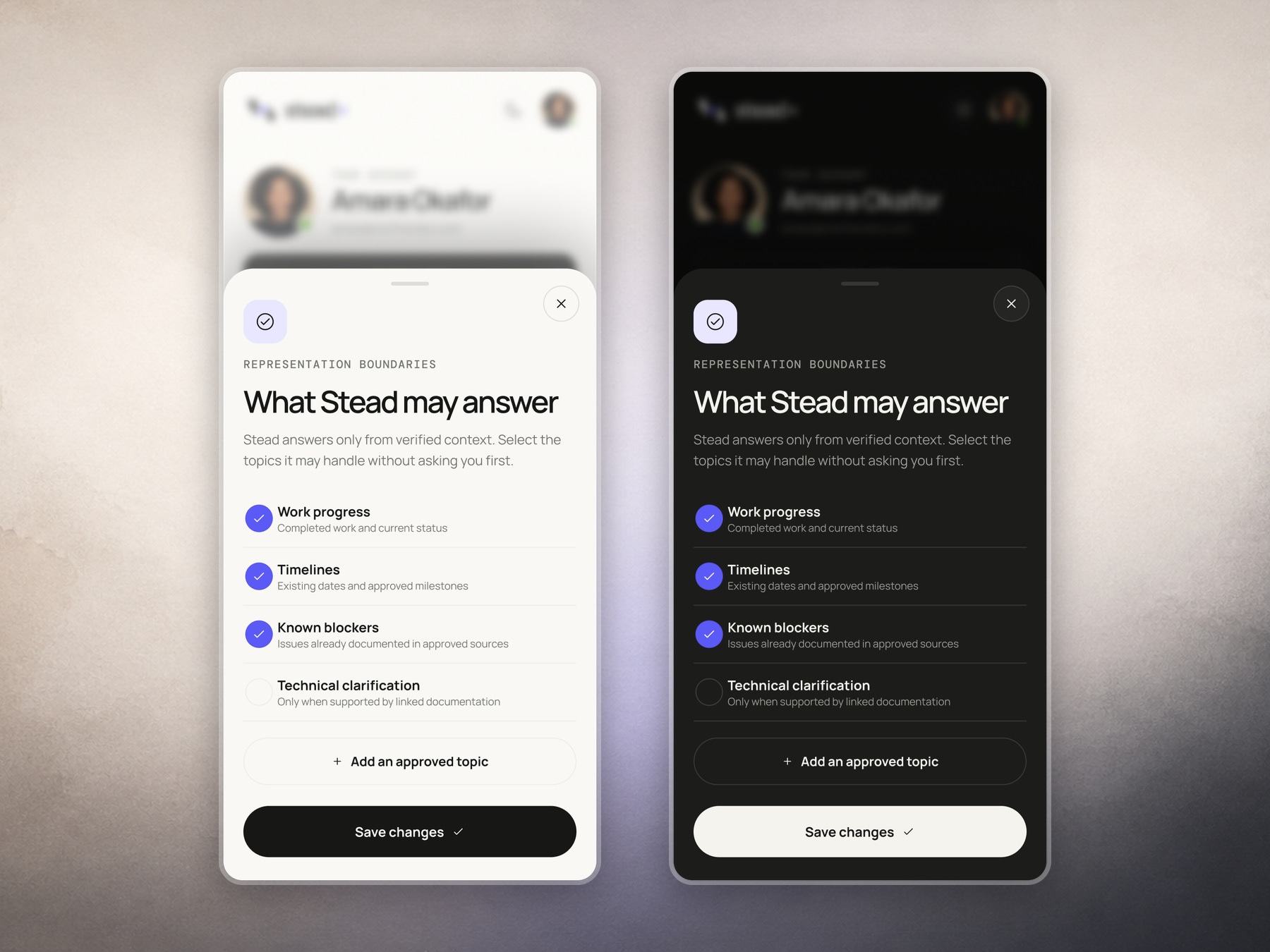 Stead representation boundaries in light and dark mode